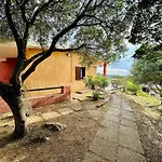 Oleandro, * Rena Majore