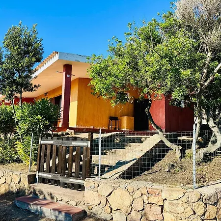 Oleandro, * Rena Majore